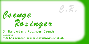 csenge rosinger business card